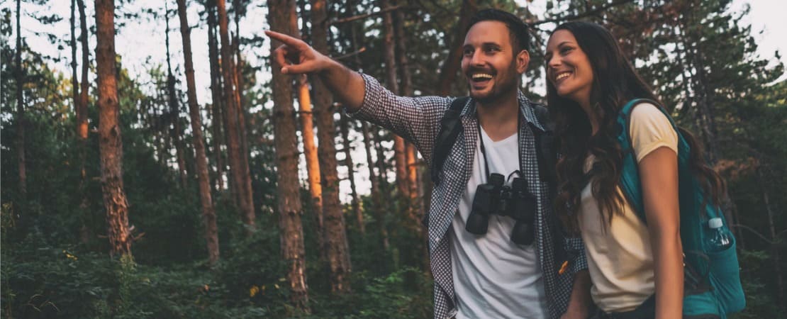 Pronomes Demonstrativos em Inglês: Guia Fácil 📖