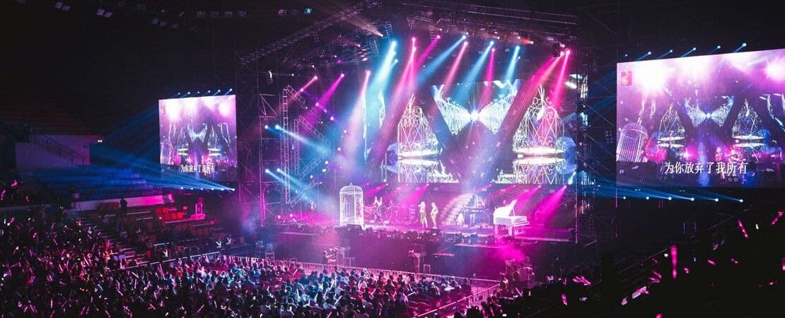 Imagem mostrando pessoas em um concerto.